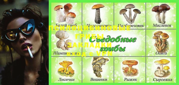 каннабис Аркадак