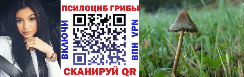 Псилоцибиновые грибы прущие грибы  Якутск 